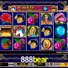 888bear Brasília - VIP Program