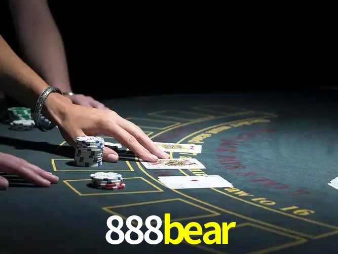 888bear Curitiba - Statistics